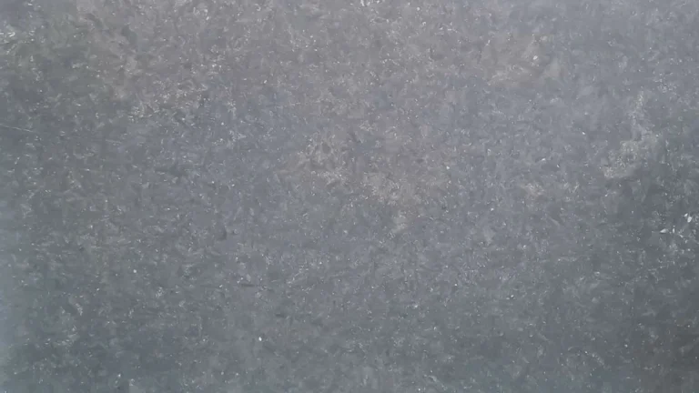 Belgian Fossil Limestone